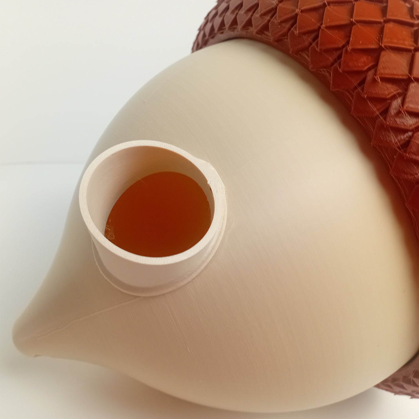 Acorn Bird House