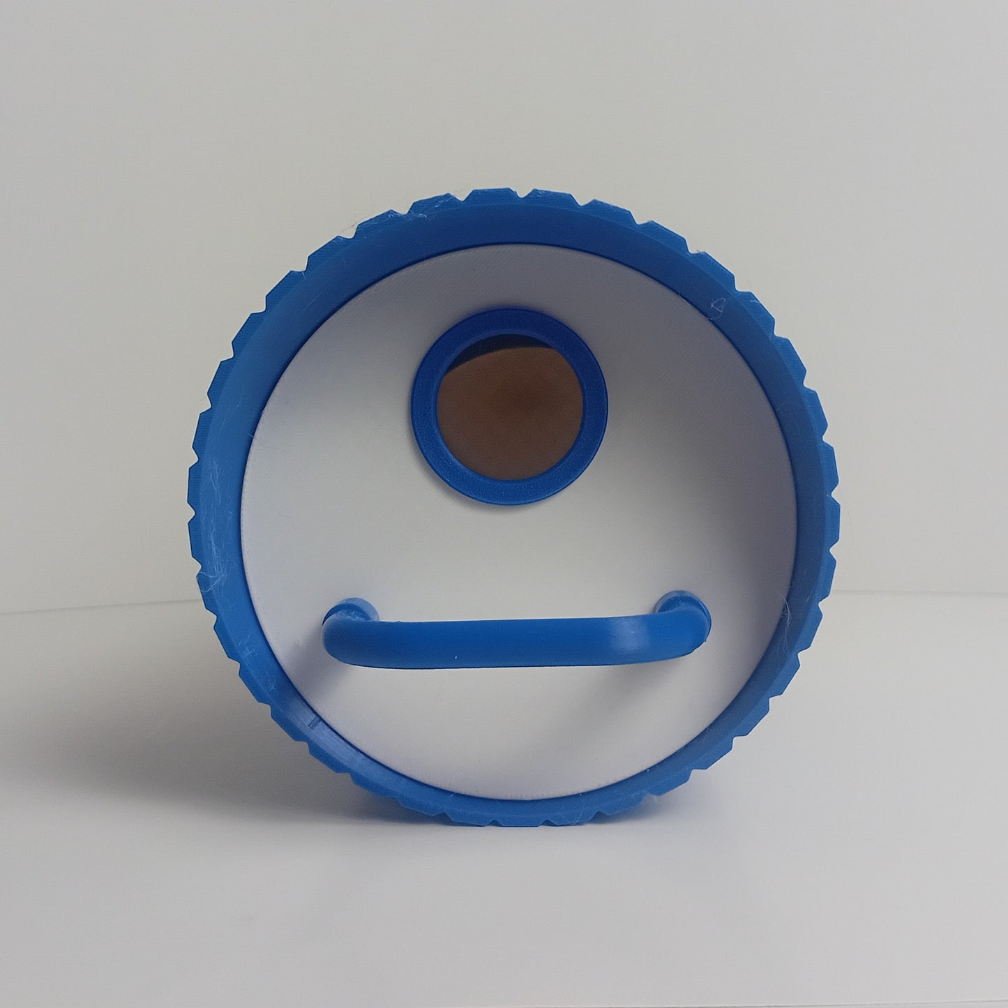 Bird Houses- Blue