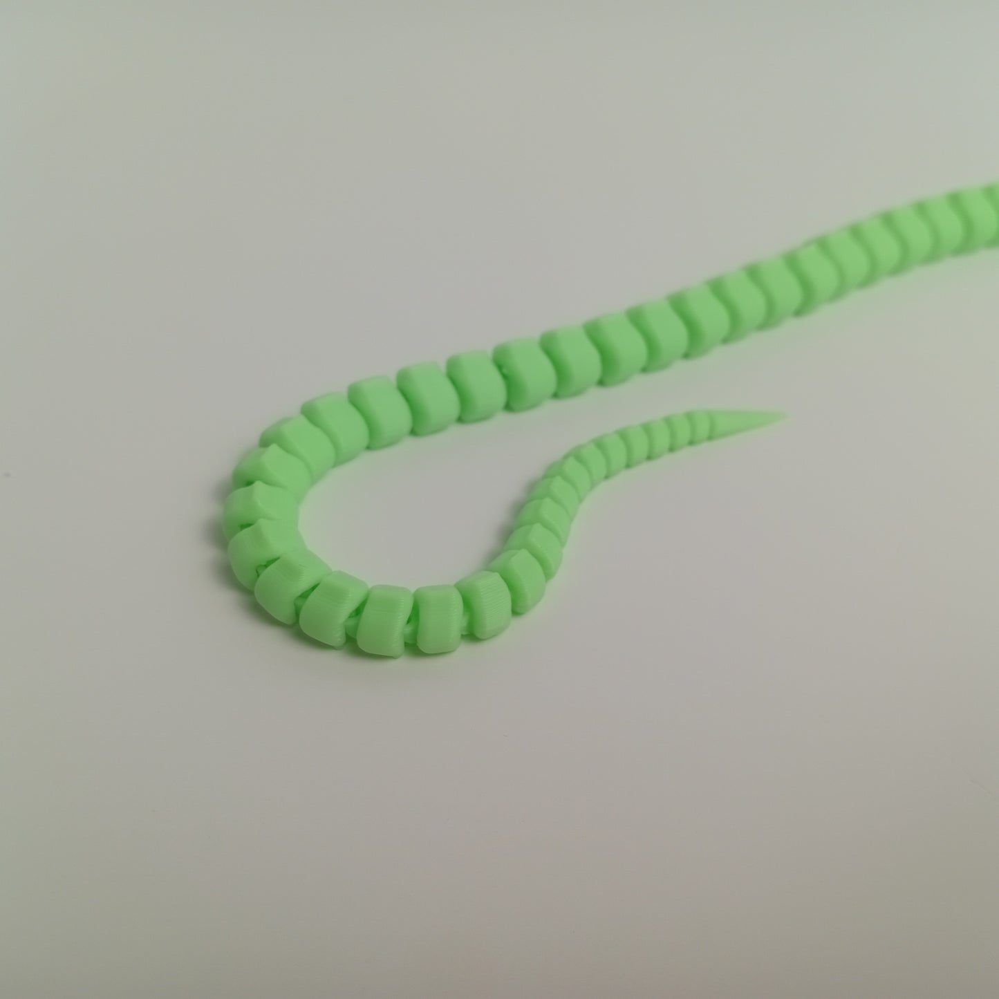 Long Glow in the Dark Lizard